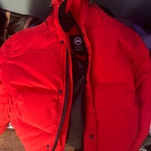 medium size red canada goose